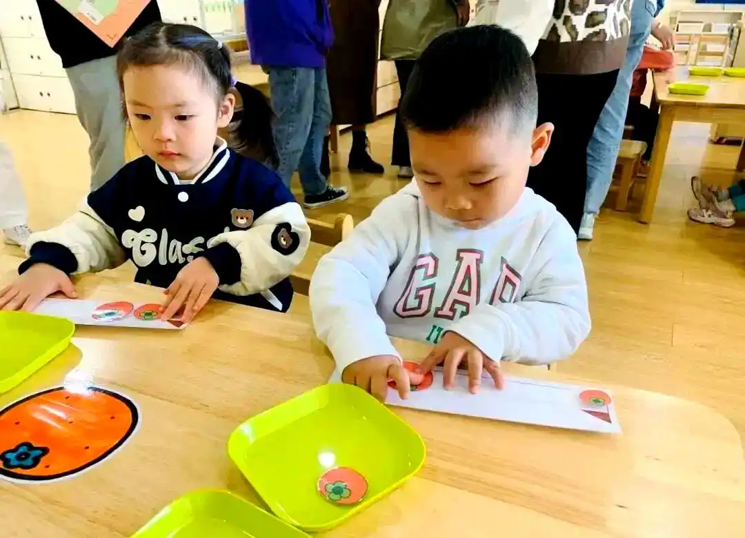 幼儿数学教育的多元化探索与实践
