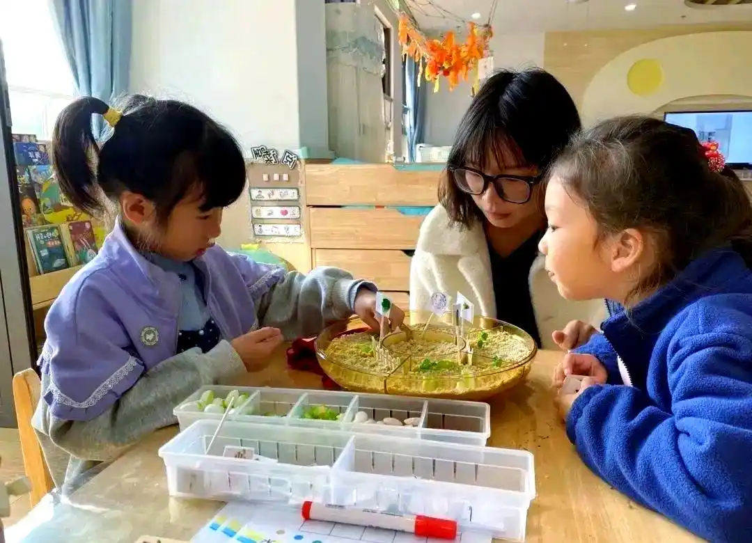 幼儿数学教育的多元化探索与实践