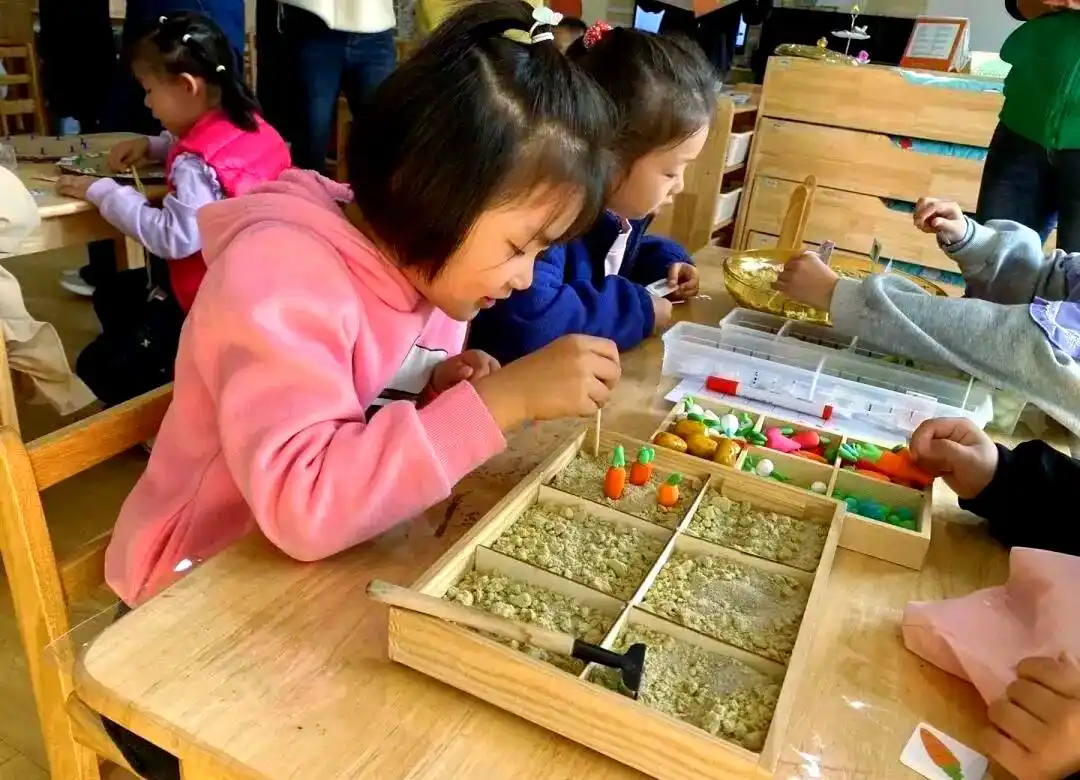 幼儿数学教育的多元化探索与实践