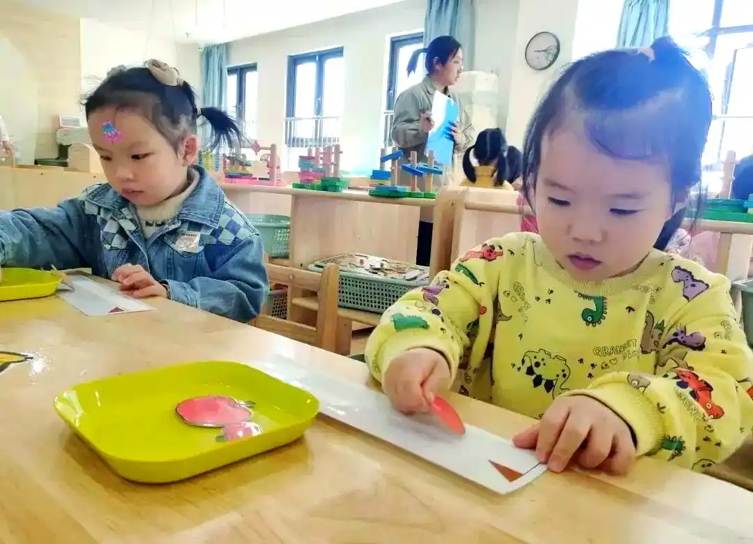 幼儿数学教育的多元化探索与实践