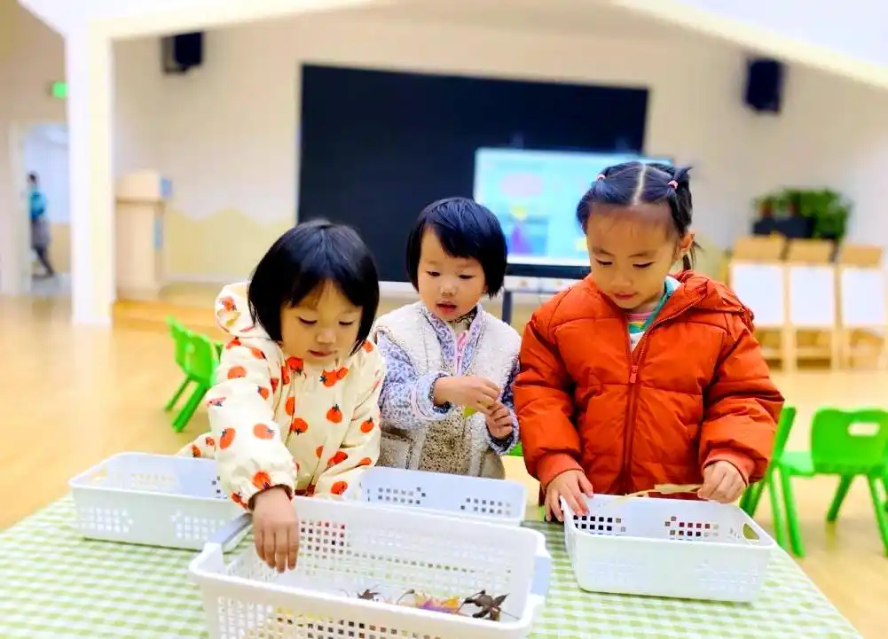幼儿数学教育的多元化探索与实践