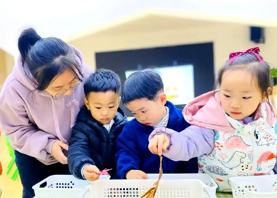 幼儿数学教育的多元化探索与实践