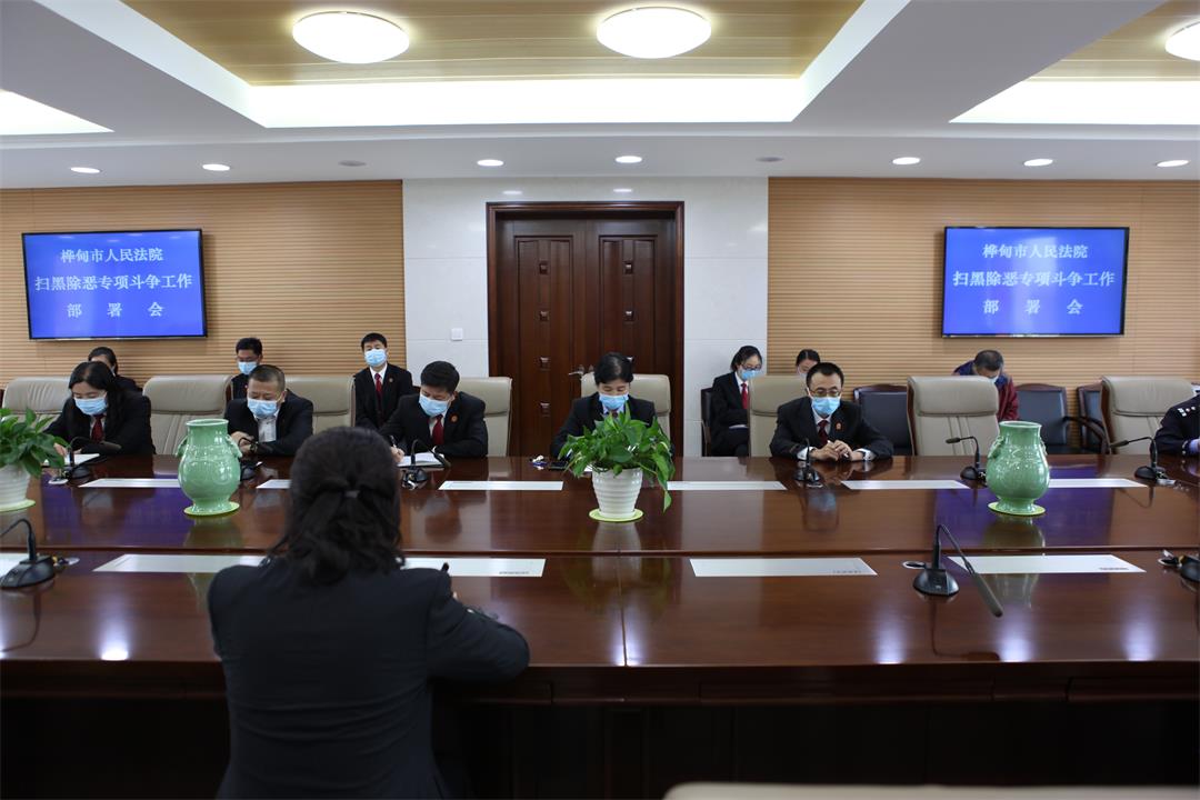 桦甸法院召开扫黑除恶专项斗争部署会