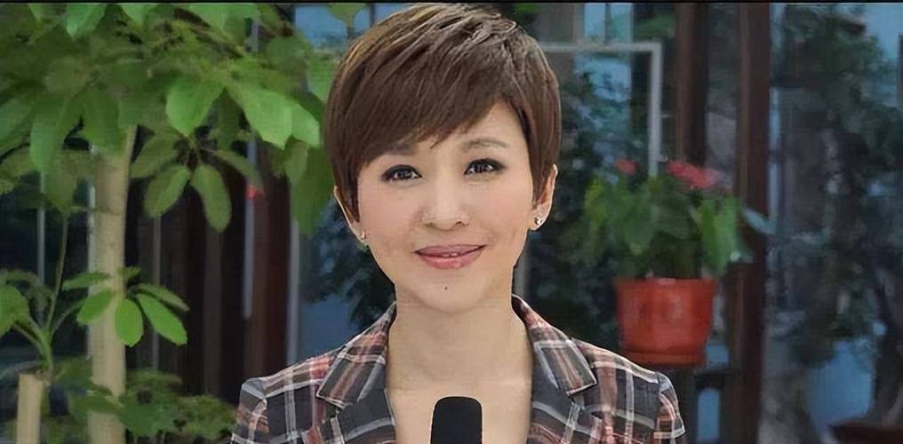 回顾欧阳夏丹：主持《新闻联播》9年，三年前突然消失，有何隐情