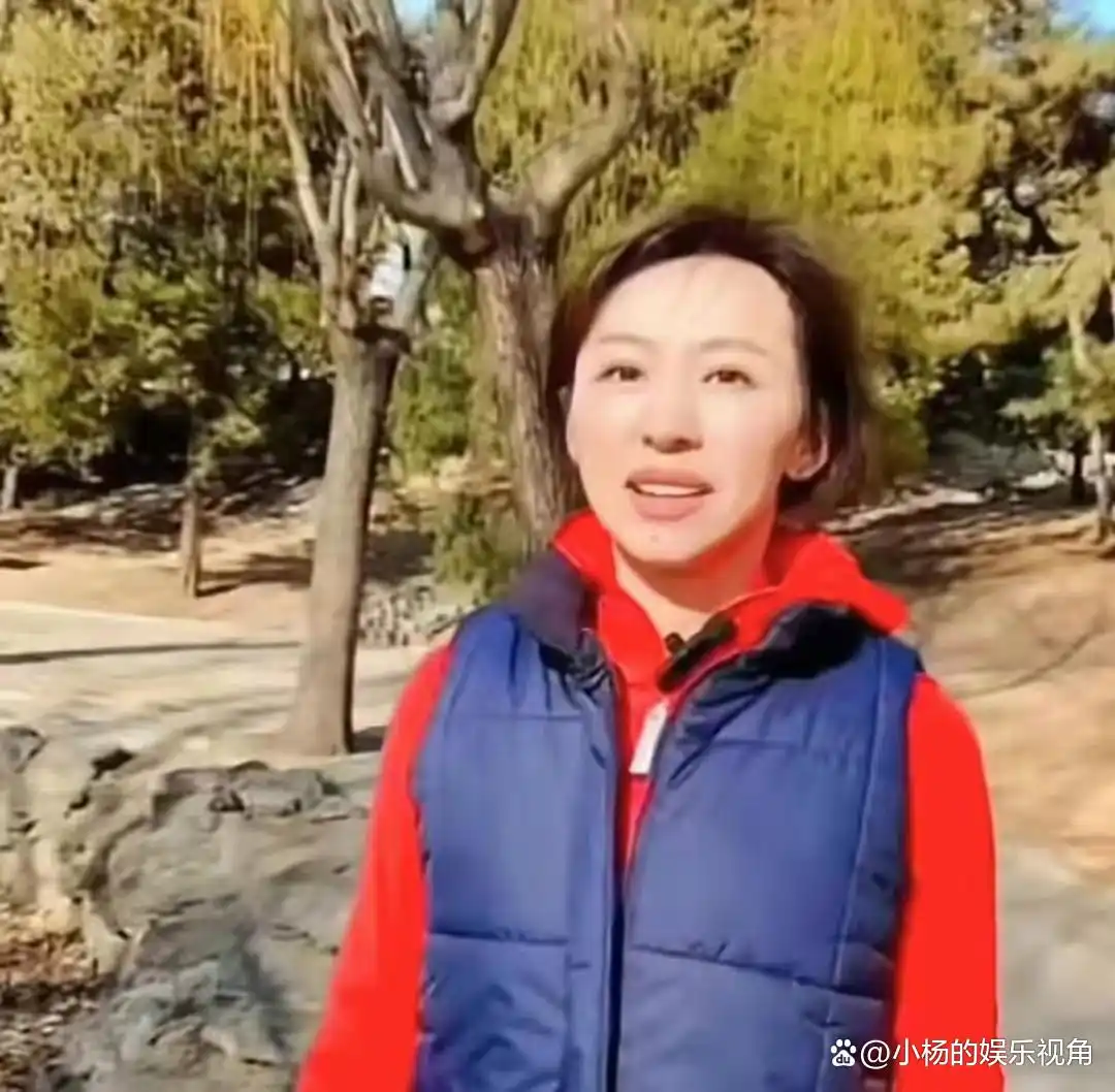 消失3年，央视“国脸”欧阳夏丹现已成功转行，背后原因引人心疼