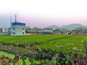 探访广西宾阳“诈骗村”：年轻人多改行做生意(图)