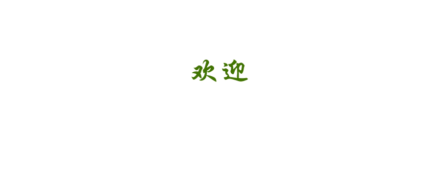 一天收入100元，普通人能赚钱的小方法，不靠人脉，一个人就能干