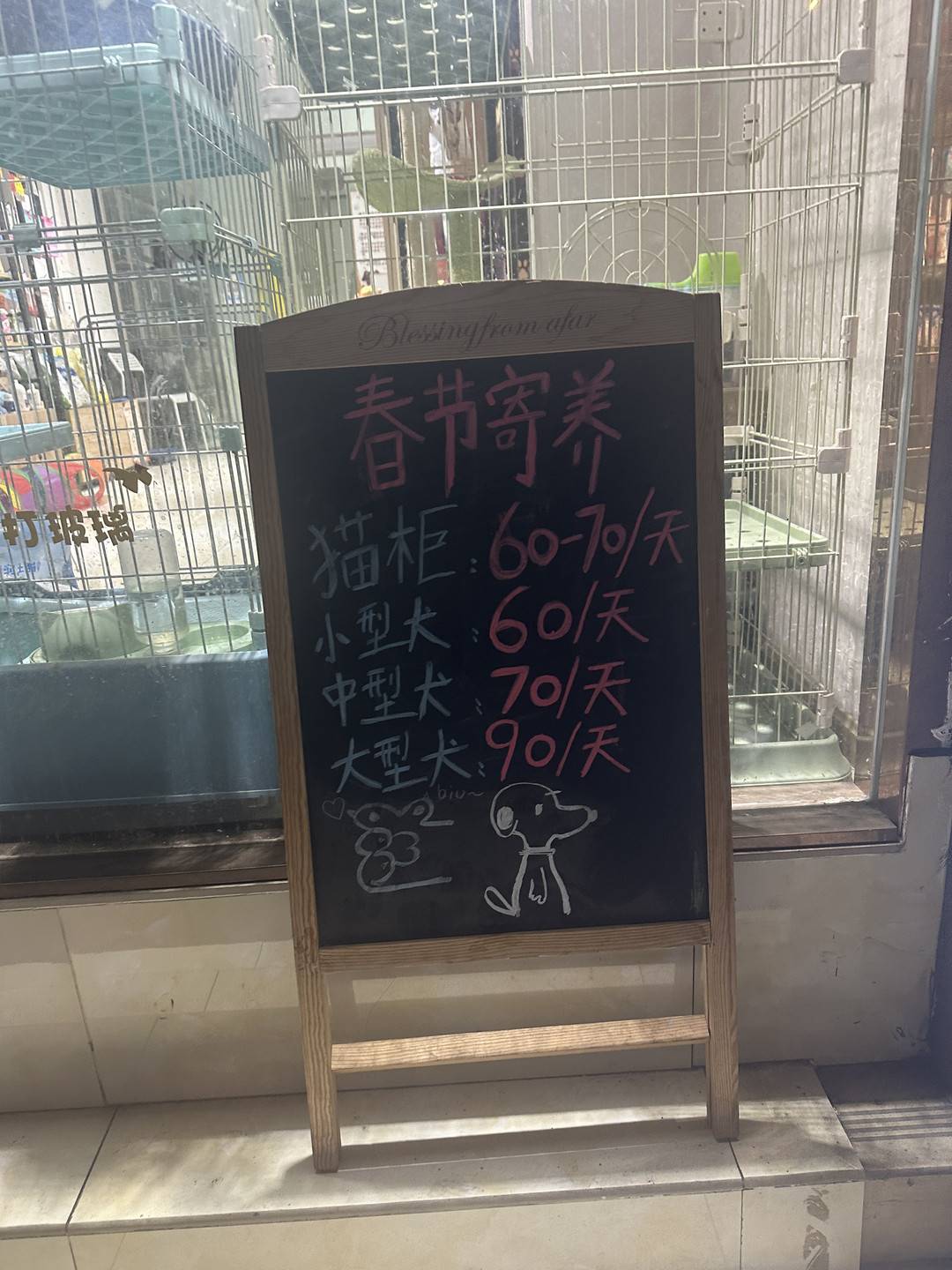 做美容、订房间  春节期间宠物消费水涨船高丨账单里的“年味儿”
