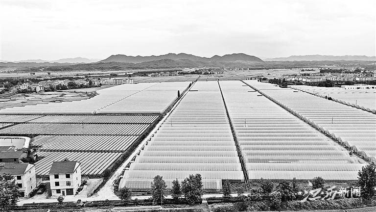 江西日报整版聚焦丨“我为群众办实事”25项重点民生项目推进情况