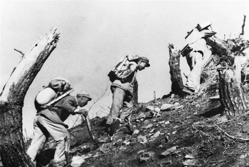 1951年，5名志愿军女兵失踪，50年后美国记者讲出真相