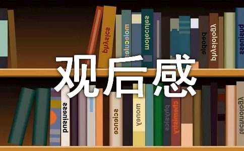 最强大脑第三季观后感500字