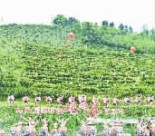 奋进这5年 精彩看湖南丨沅陵县推进精准扶贫工作纪实
