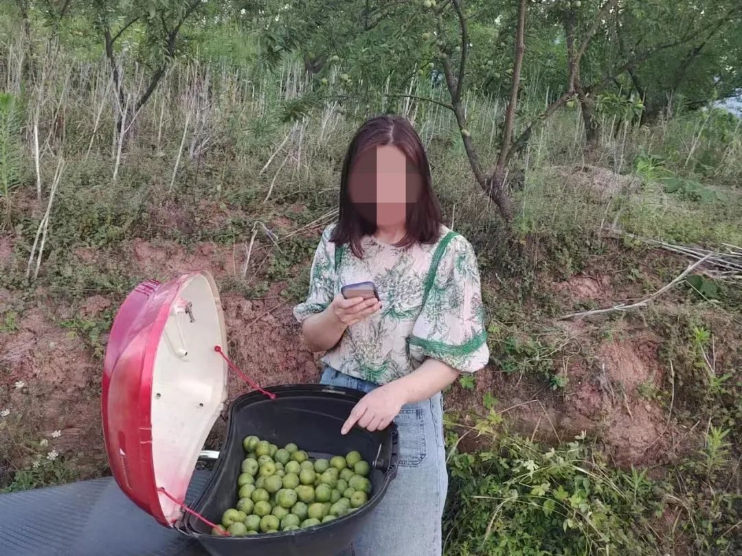 “摘”“拿”“采”“装”！蓬安这几起“顺手牵羊”案件，结果是……