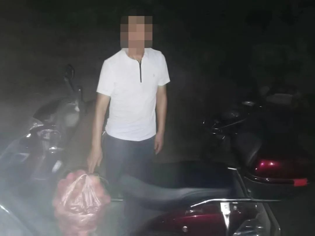 “摘”“拿”“采”“装”！蓬安这几起“顺手牵羊”案件，结果是……