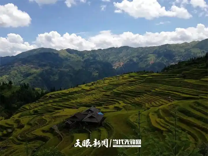 饱蘸绿意绘山河丨贵州持续打造9个国家生态文明建设示范区和5个全国“绿水青山就是金山银山”实践创新基地