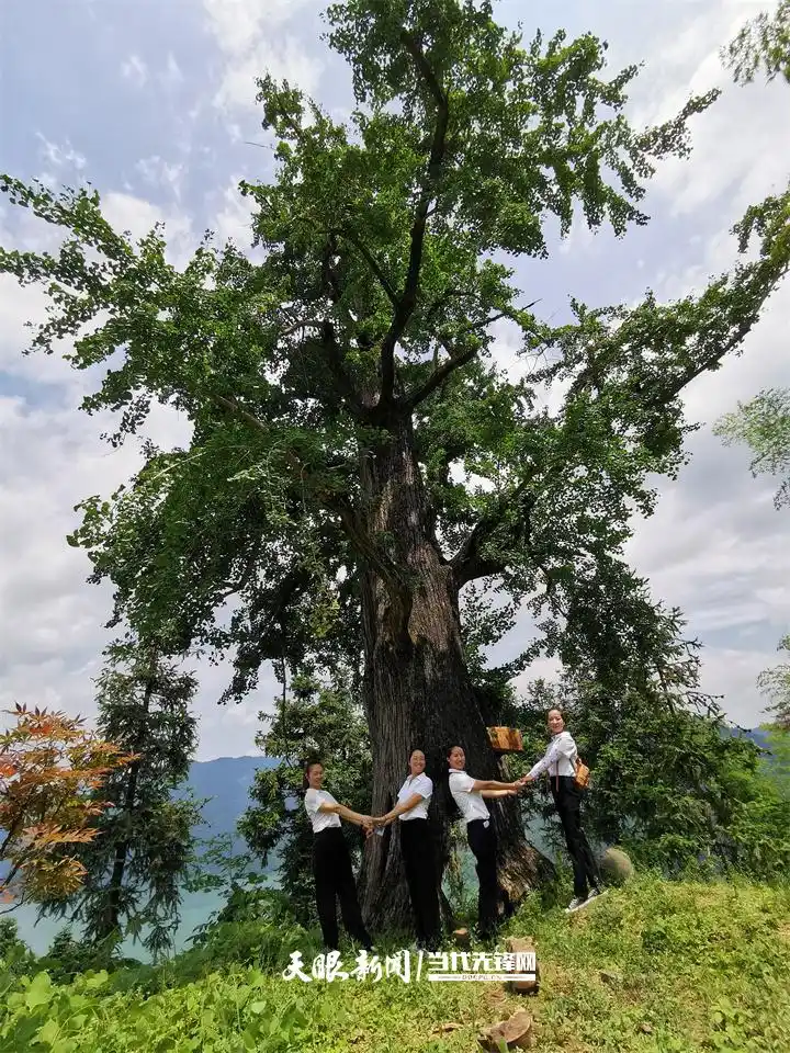 饱蘸绿意绘山河丨贵州持续打造9个国家生态文明建设示范区和5个全国“绿水青山就是金山银山”实践创新基地