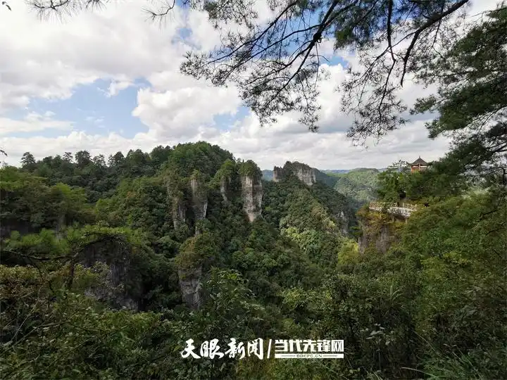 饱蘸绿意绘山河丨贵州持续打造9个国家生态文明建设示范区和5个全国“绿水青山就是金山银山”实践创新基地
