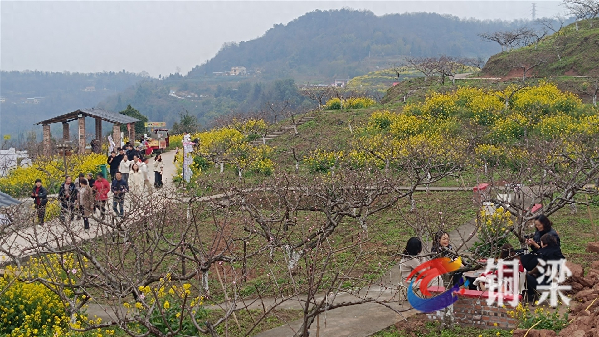 铜梁：第四届桃花节开园 “十里桃花”迎客来