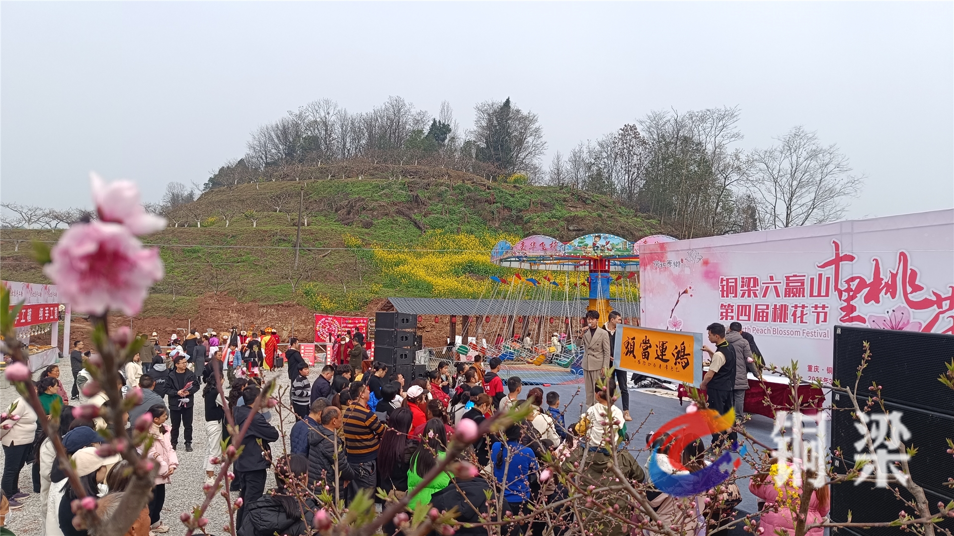 铜梁：第四届桃花节开园 “十里桃花”迎客来