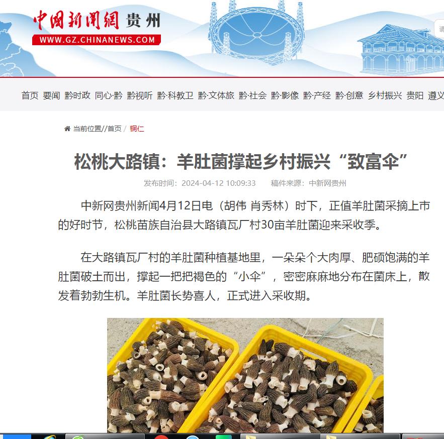 【成绩单来了！】松桃2024年4月份对外宣传成绩单