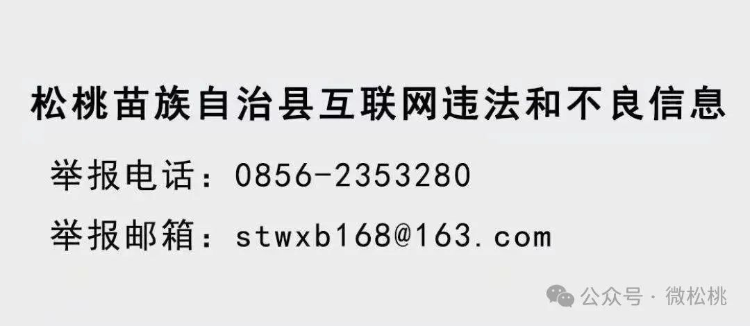 【成绩单来了！】松桃2024年4月份对外宣传成绩单
