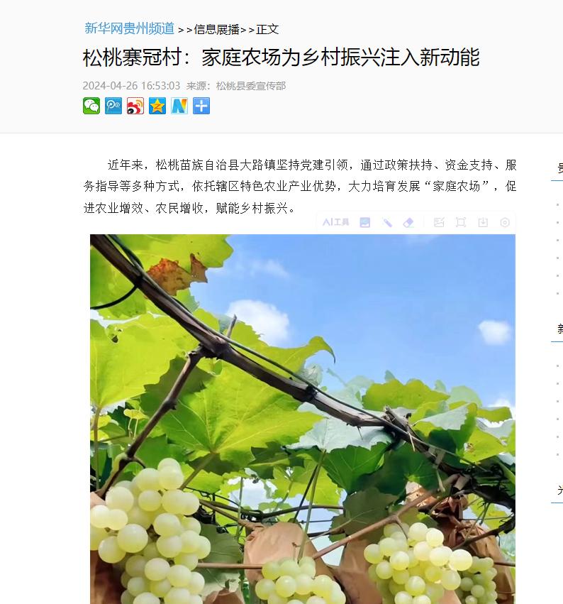 【成绩单来了！】松桃2024年4月份对外宣传成绩单