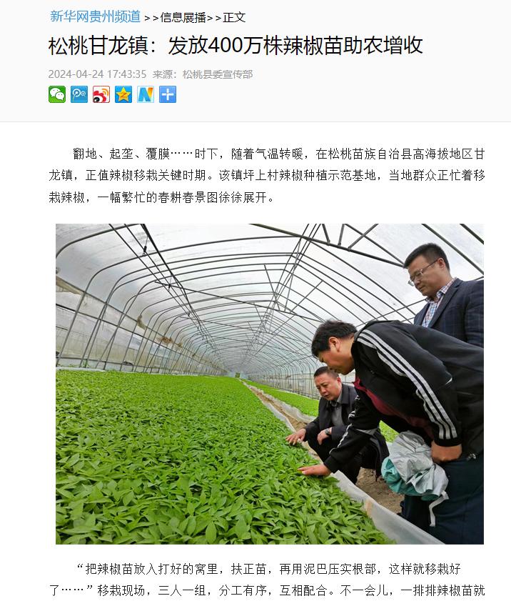 【成绩单来了！】松桃2024年4月份对外宣传成绩单