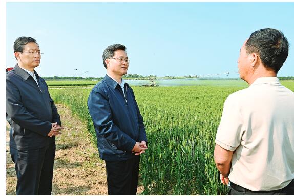 蓝佛安在运城调研农业生产