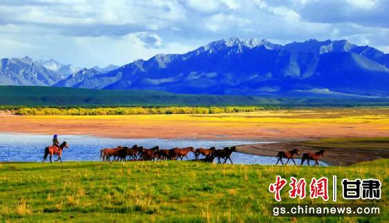 破解“大爷+张掖”爆火背后的流量密码