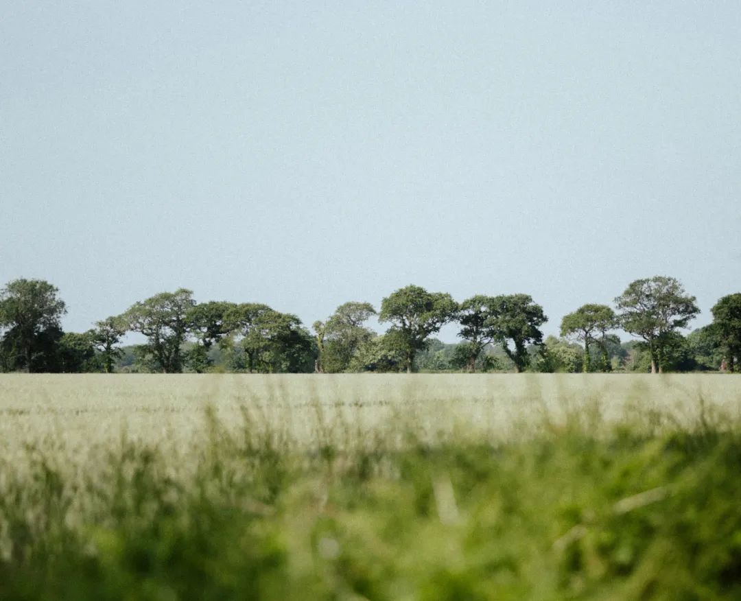 憋不出论文,饶了研究生
