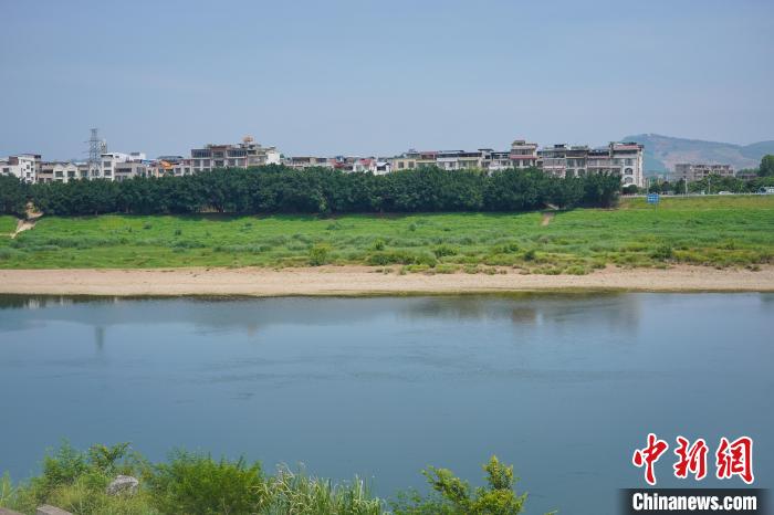 广西鹿寨守护“水生态” 引珍稀生物成“常客”