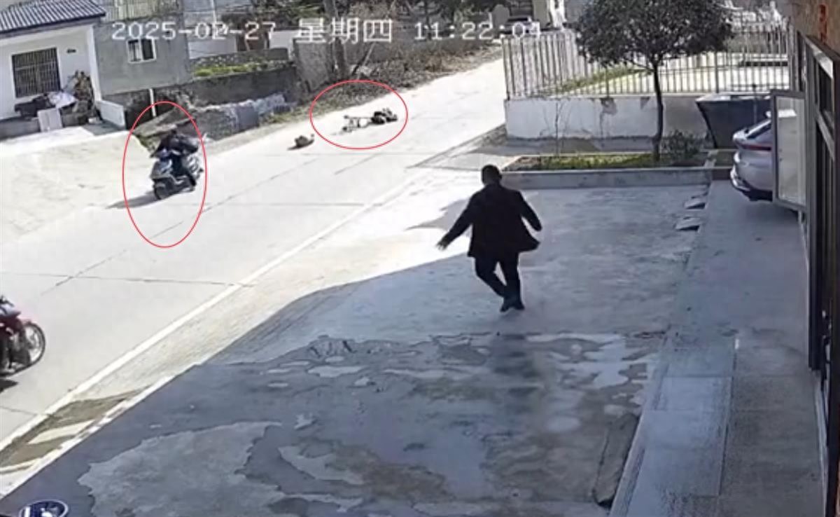 河南信阳一老人被撞不幸身亡，家属悬赏2万元找线索？警方：肇事逃逸司机已到案