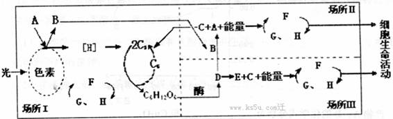 A．舆论监督具有透明度高、威力大、影响广、时效快等特点