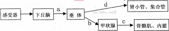 A．舆论监督具有透明度高、威力大、影响广、时效快等特点