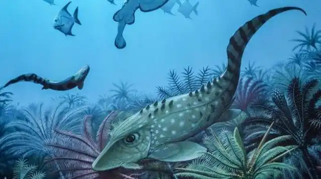 极为庞大的海洋生物，大王酸浆鱿长达15米，但这只乌贼比它更大