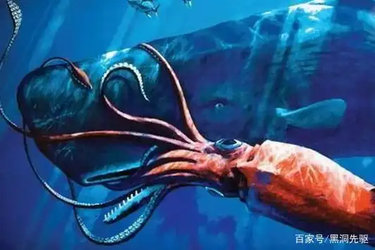 大王酸浆鱿和大王乌贼谁更大？它们真的敢攻击抹香鲸吗？