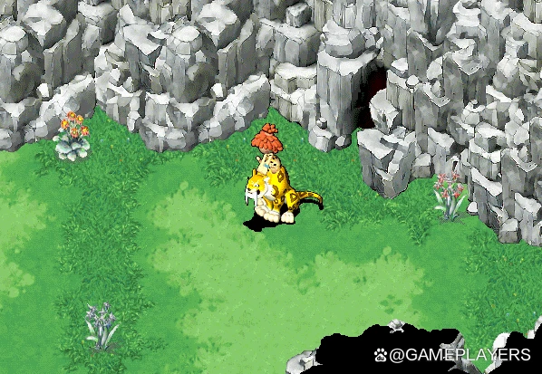 人龙暴龙小奇宝！石器时代觉醒经典宠物介绍