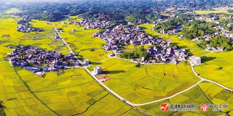 「玉林这十年」容县：擎旗奋进新时代