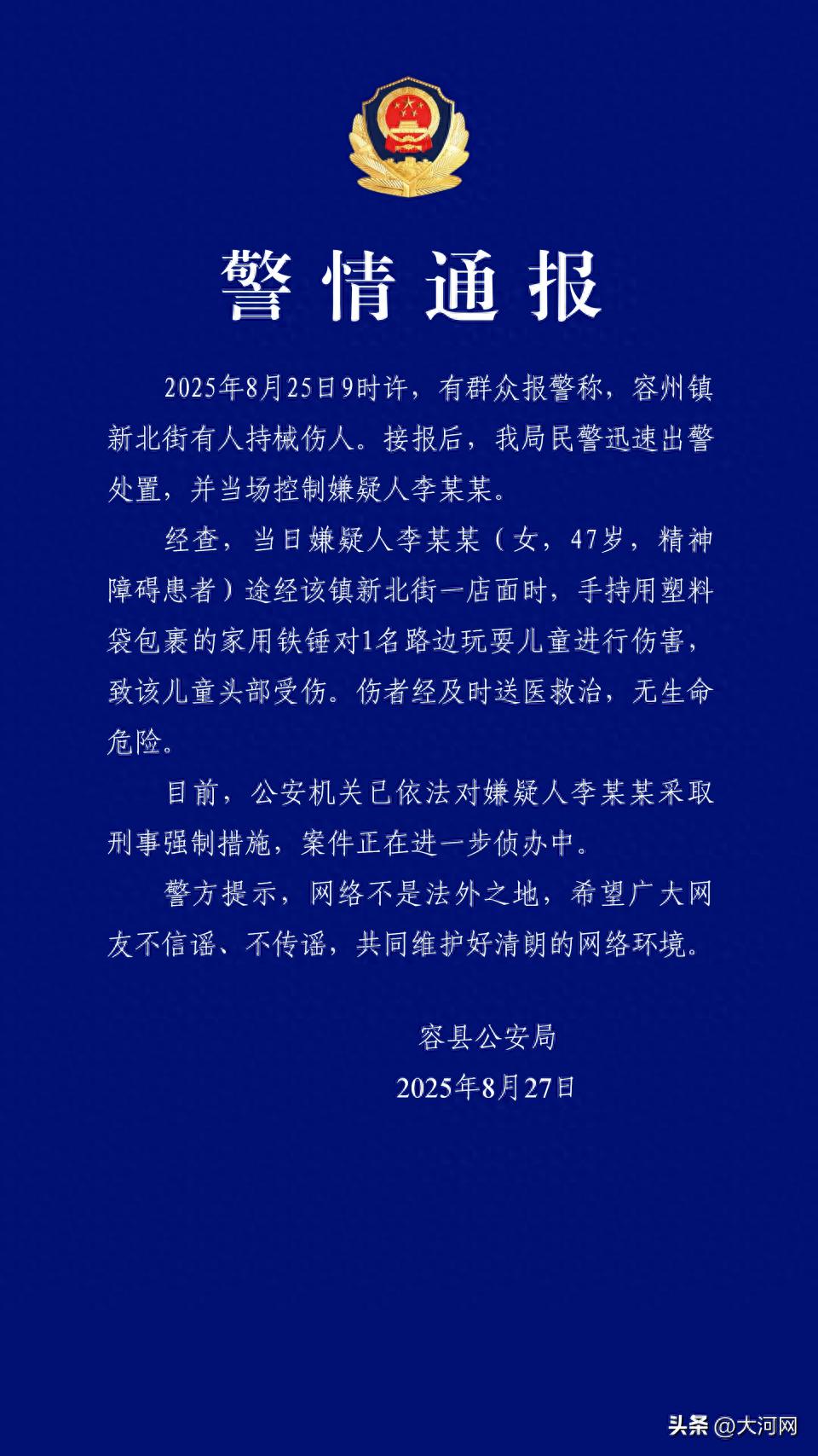 广西容县通报一女子用铁锤砸伤男孩头部：李某某(女，47岁，精神障碍患者)，已被采取刑事强制措施