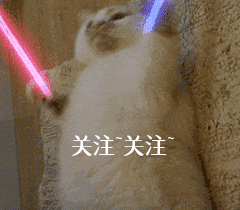 太吓人了！这些巨型犬，体型大到可以“当马骑”