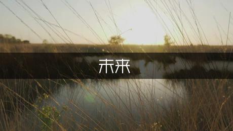 未来的武器作文500字（通用3篇）