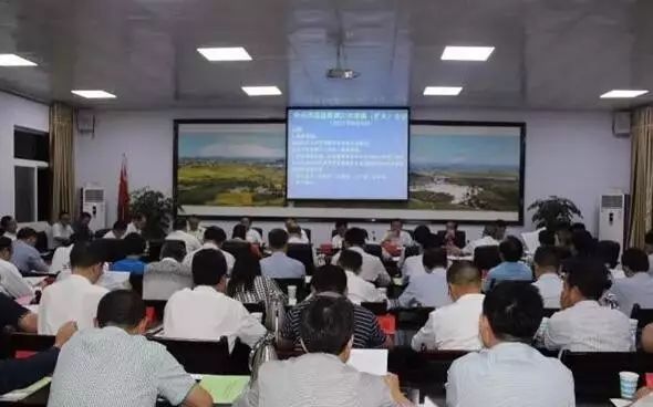 洋县：打好组合拳 推动追赶超越