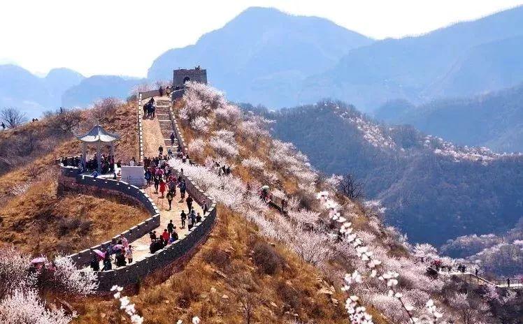 邢台新闻快报，最新消息汇总