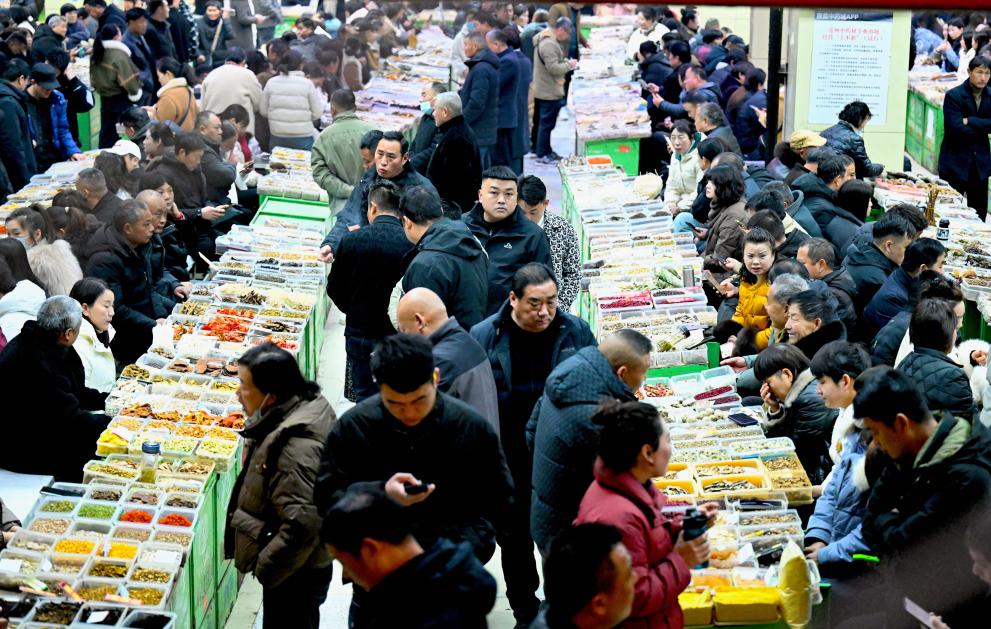 解码文化自信的城市样本丨药脉文心拓新章——解码药都亳州的文化自信样本
