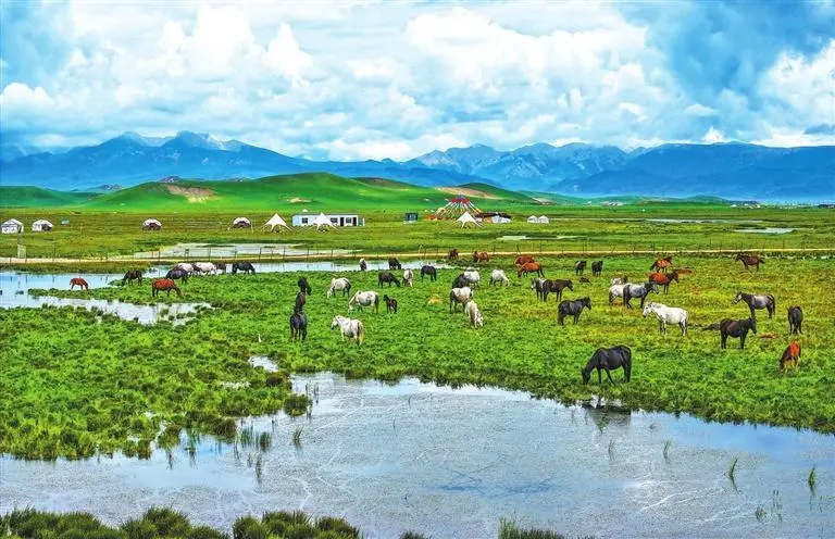 市州动态丨甘南 天蓝地绿 水清景美
