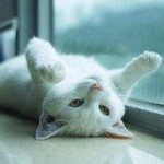 上海海洋大学校友圈