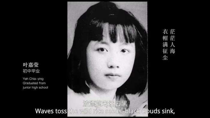 “诗词的女儿”叶嘉莹去世，“我只是一个普通的教研工作者”