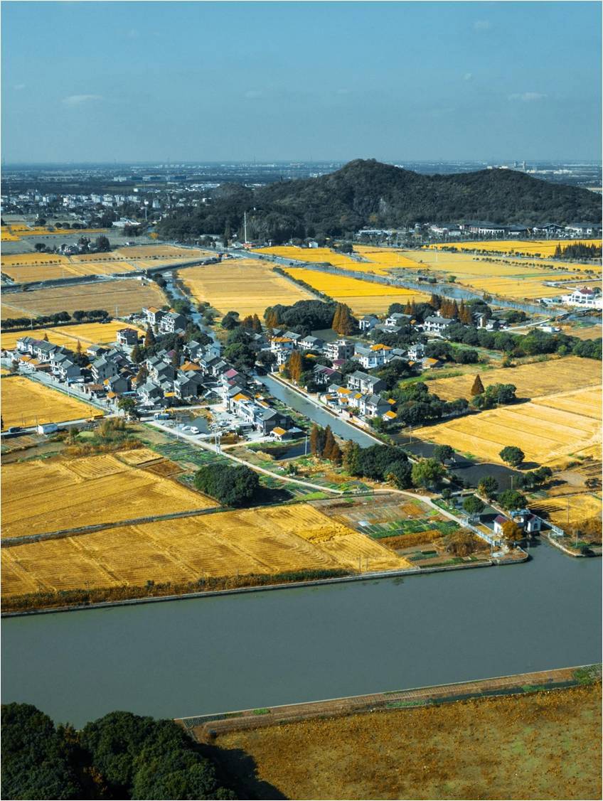 上海首提“沪派江南”特色村居，至2027年着力营造一批示范风貌样本