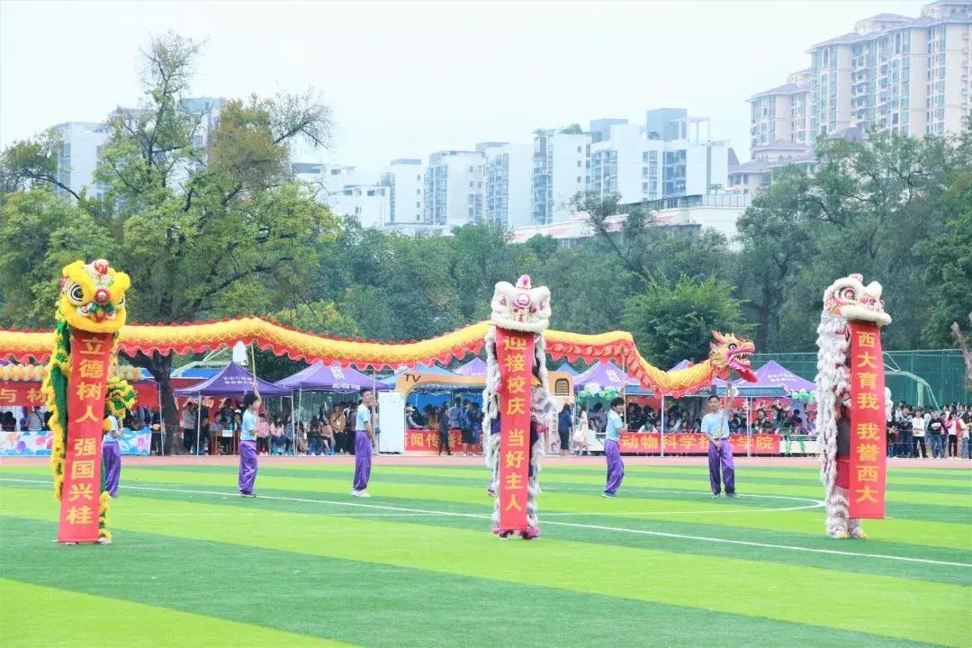 青春飞扬 精彩无限——广西大学第48届校运会