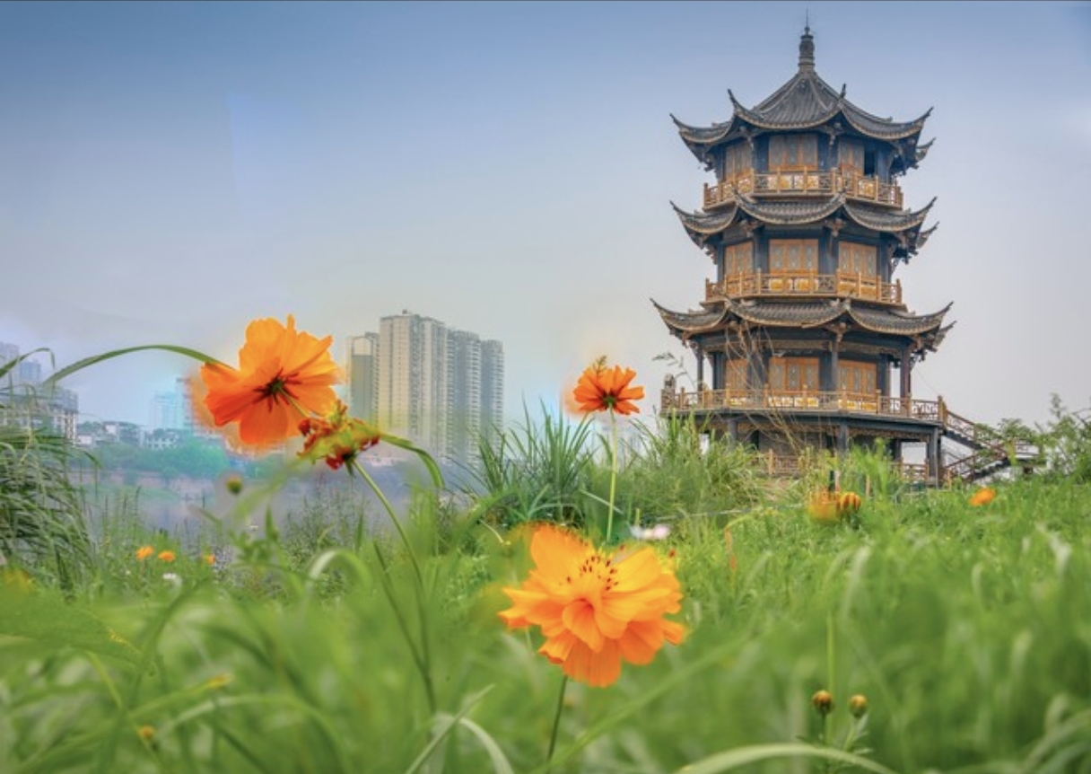 职场社交潜规则：和领导吃饭时，记住这4个，不要，升职快人一步